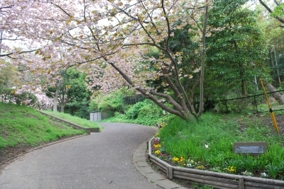 西鎌倉山北公園