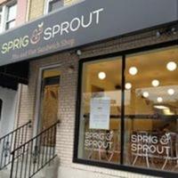 Sprig and Sprout