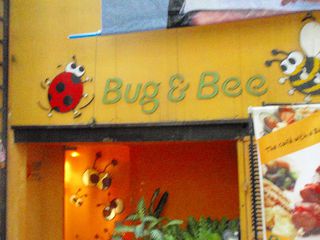 Bug & Bee