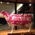 Holsteins